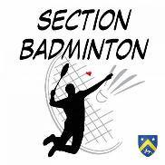 ESVC_Badminton