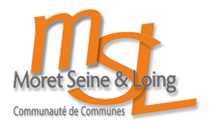 Logo-MSL